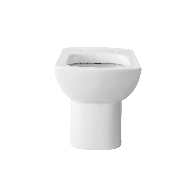 Toilet Manufacturers European  Back To Wall WC pan