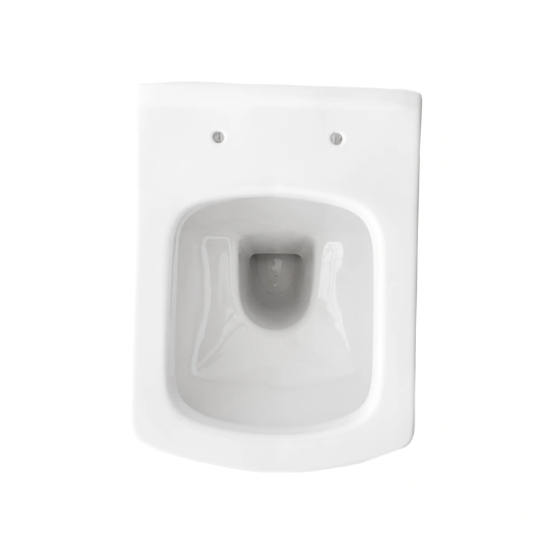 Toilet Manufacturers European  Back To Wall WC pan