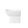 Toilet Manufacturers European  Back To Wall WC pan