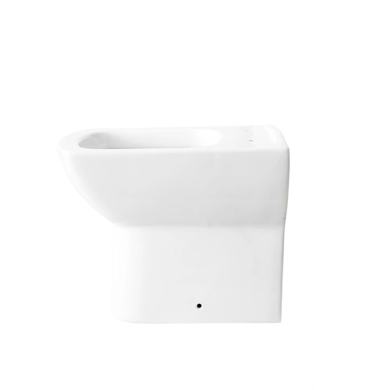 Toilet Manufacturers European  Back To Wall WC pan