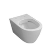 European Standard Luxury Sanitary Ceramic Wall Hung Toilet 