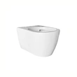 European Standard Luxury Sanitary Ceramic Wall Hung Toilet 