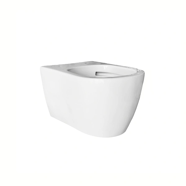 European Standard Luxury Sanitary Ceramic Wall Hung Toilet 