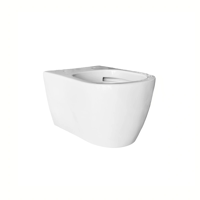 European Standard Luxury Sanitary Ceramic Wall Hung Toilet 