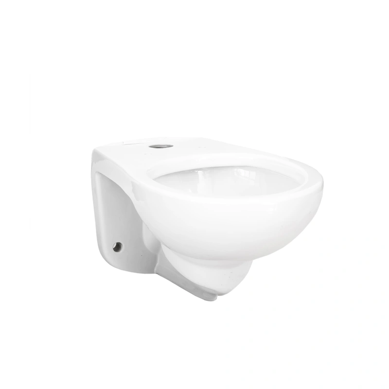 Flush Valve Wall Hung Toilet Pan