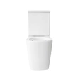 Close coupled toilet with cistern - P-trap - European market