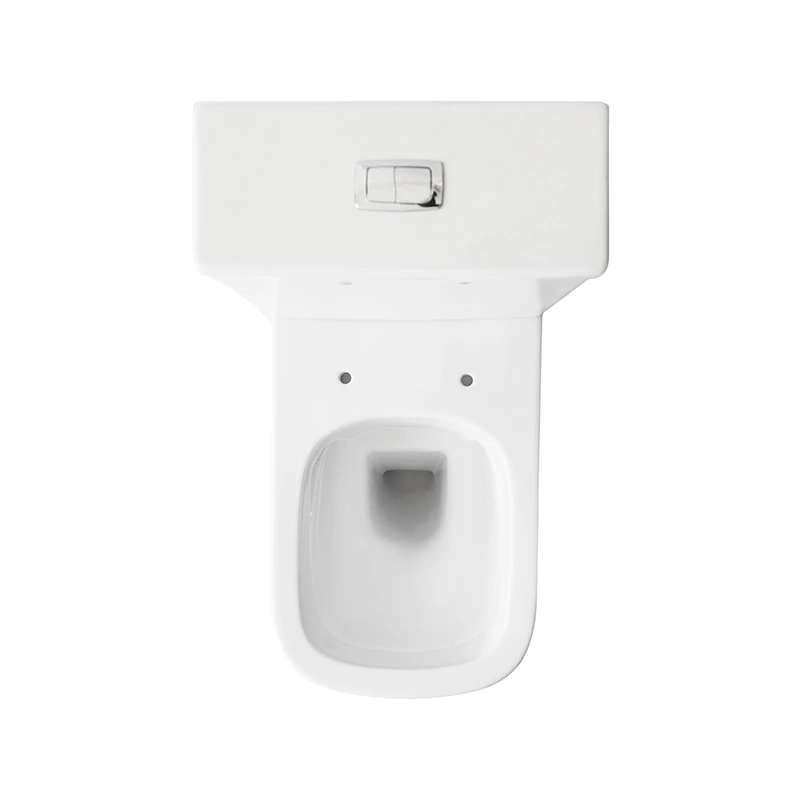 Close coupled toilet with cistern - P-trap - European market