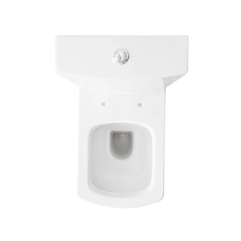 European Popular Rear Outlet Toilet 2 Piece