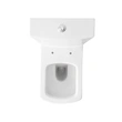 Chinese Tangshan OEM ceramic sanitary toilet