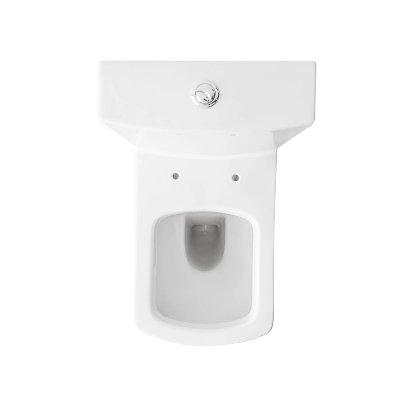 Chinese Tangshan OEM ceramic sanitary toilet