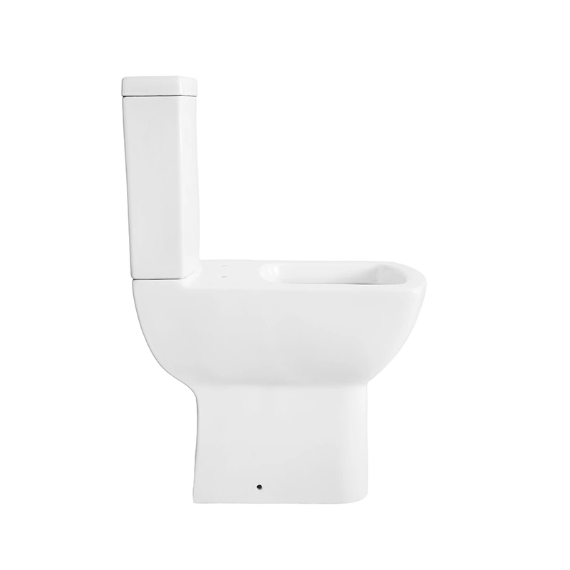 Chinese Tangshan OEM ceramic sanitary toilet