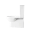 Comfort Height Close Coupled Bathroom Toilet + Soft Close Seat