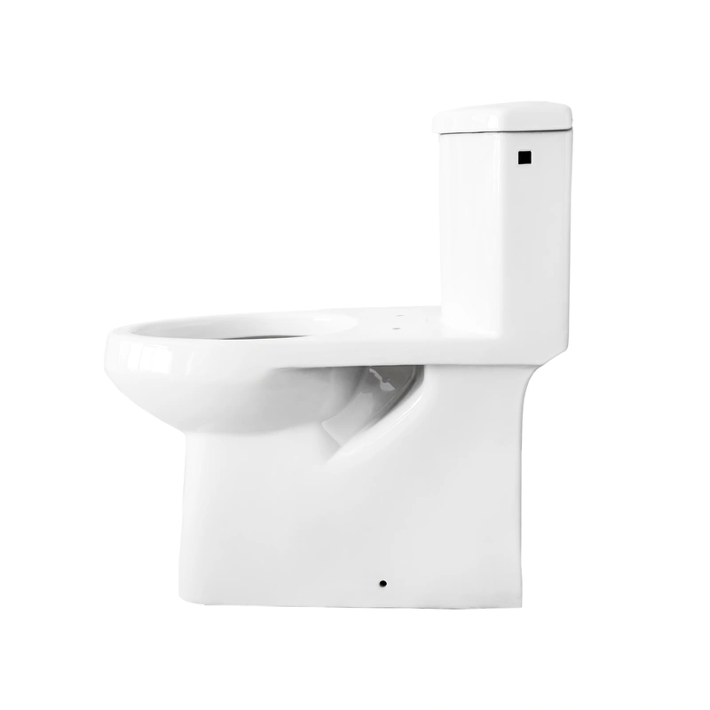 High Efficiency one piece Toilet in White Slow-Close