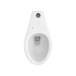 Good quality Pressure Flush Valve Siphonic Toilet