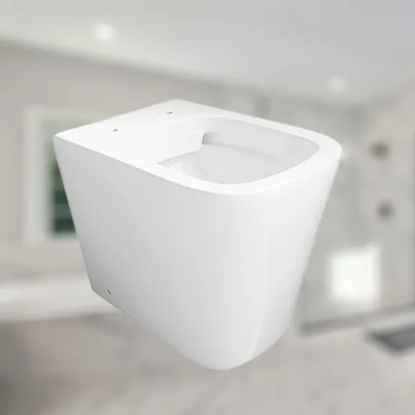 European Washdown Wc Set Back To Wall Toilet