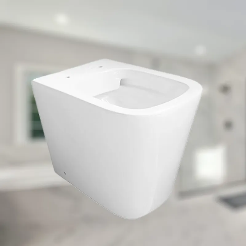 European Washdown Wc Set Back To Wall Toilet