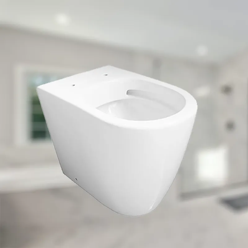 Flush back to wall toilet