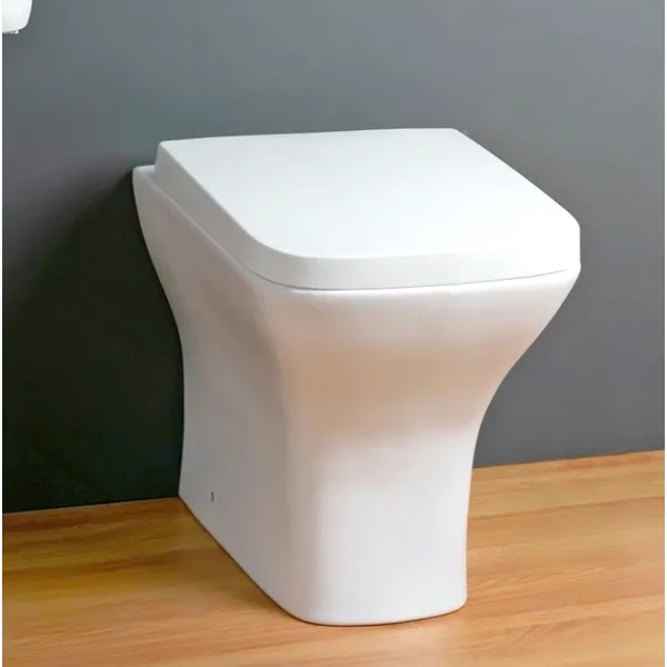 One Piece European Back To Wall Toilet with P-trap