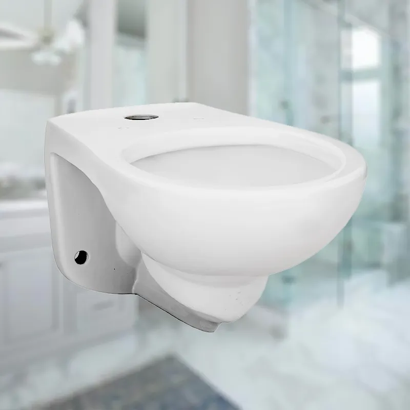 Flush Valve Wall Hung Toilet Pan