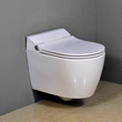 European Standard Luxury Sanitary Ceramic Wall Hung Toilet 