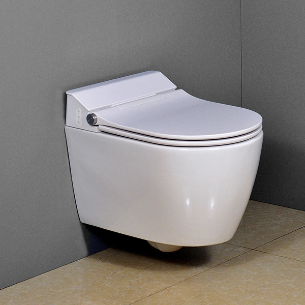 European Standard Luxury Sanitary Ceramic Wall Hung Toilet 