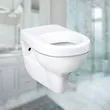 Wall Mounted WC Wash-Down P-trap Bathroom Toilet