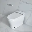 One-Piece Elongated Smart Toilet 