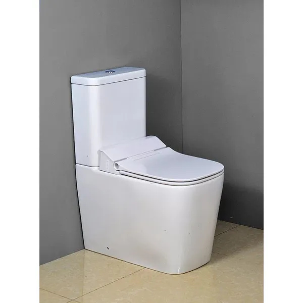 Bathroom close coupled intelligent toilet