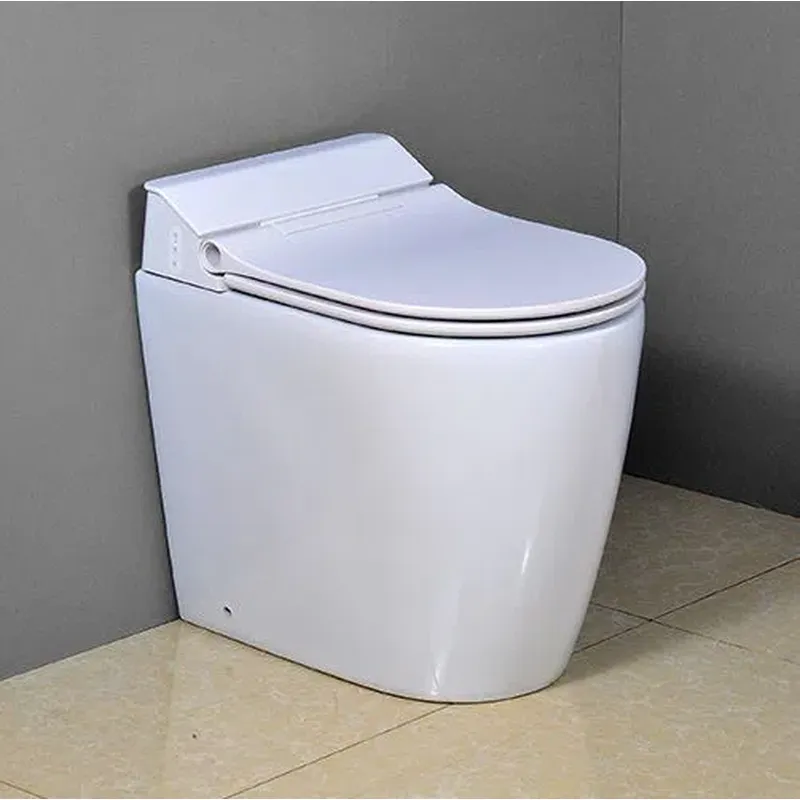 Compact wall hung Intelligent toilet 