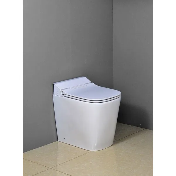 Compact wall hung Intelligent toilet 