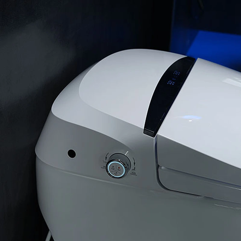 Europe market Ceramic Bathroom Intelligent Bidet