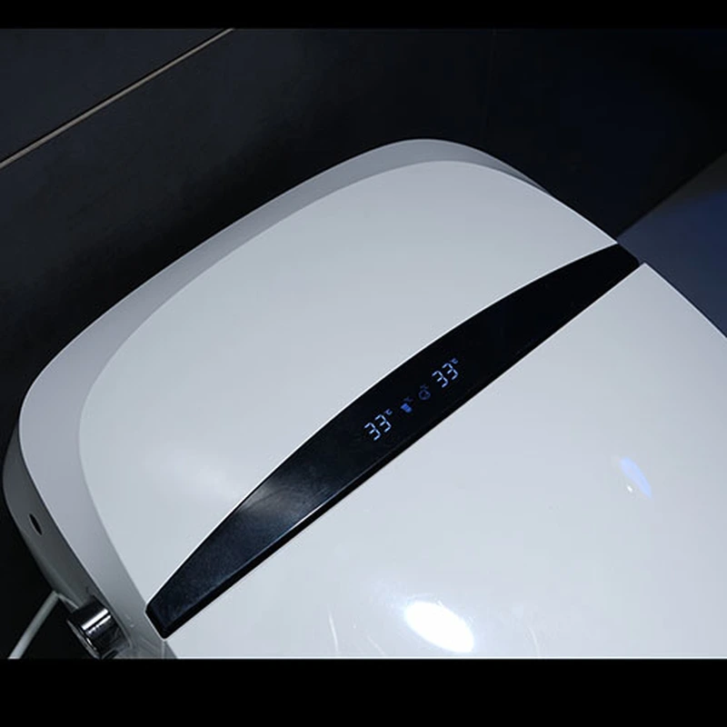 Europe market Ceramic Bathroom Intelligent Bidet