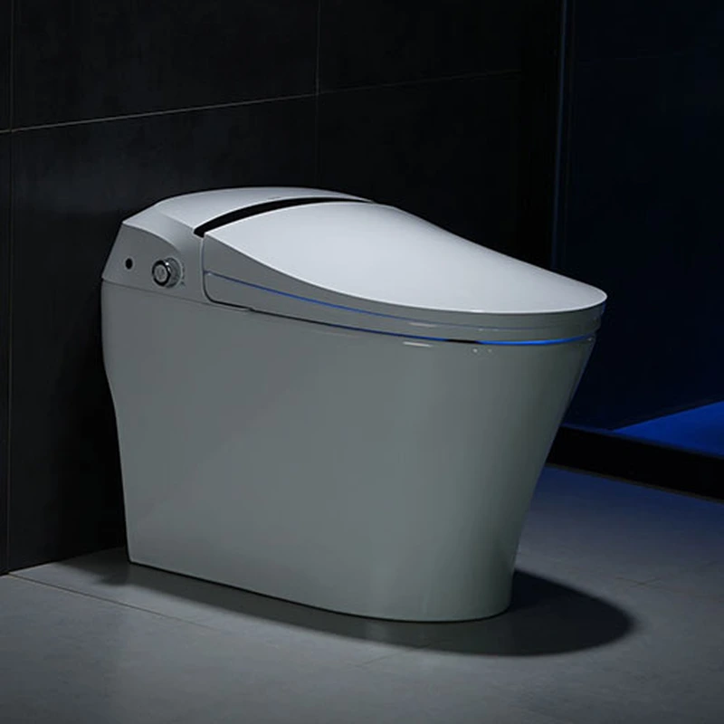 Europe market Ceramic Bathroom Intelligent Bidet