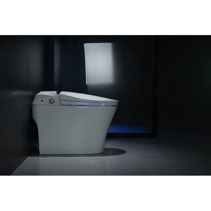 Europe market Ceramic Bathroom Intelligent Bidet