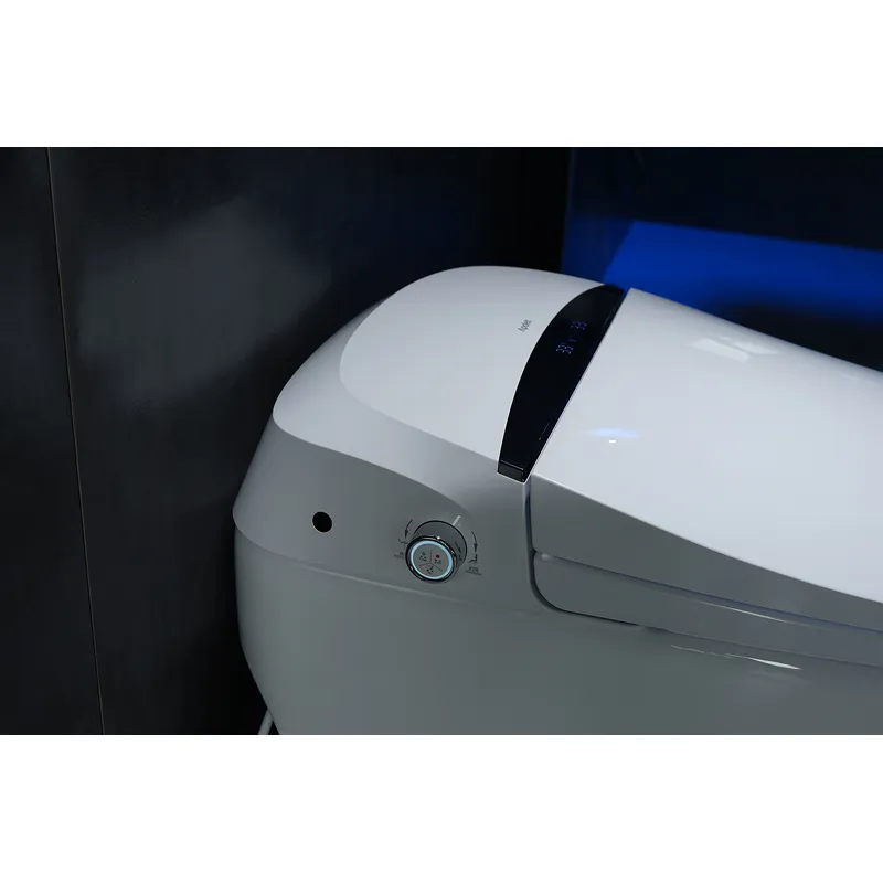 Europe market Ceramic Bathroom Intelligent Bidet