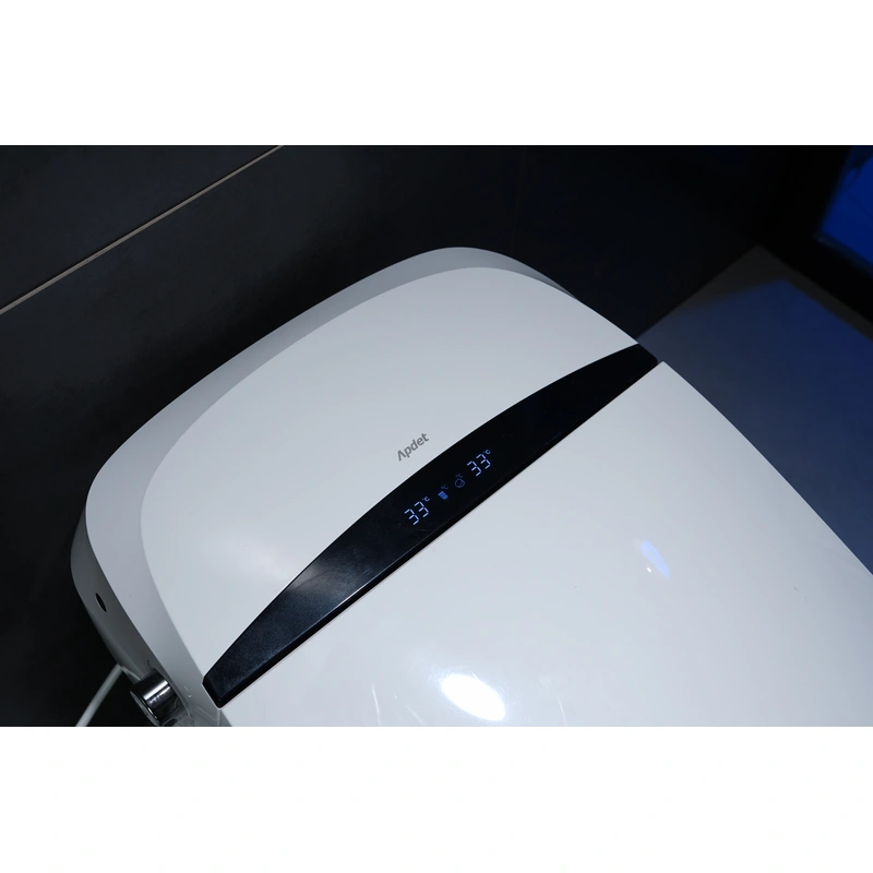 Europe market Ceramic Bathroom Intelligent Bidet