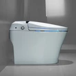 Europe market Ceramic Bathroom Intelligent Bidet
