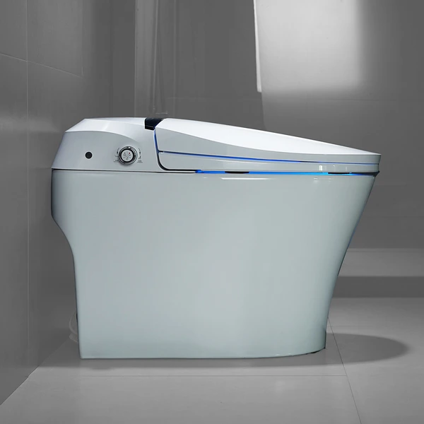 Europe market Ceramic Bathroom Intelligent Bidet