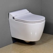 Wall Mounted WC Pan with Intelligent seat cover