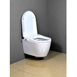 Wall Mounted WC Pan with Intelligent seat cover