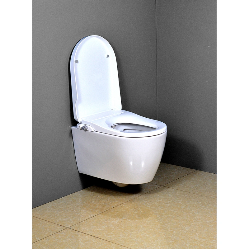 Wall Mounted WC Pan with Intelligent seat cover