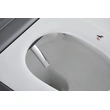 Wall Hung intelligent Bidet bathroom Smart toilet