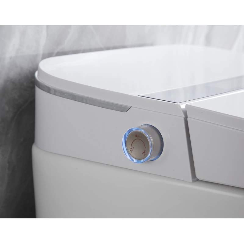 One-Piece Elongated Smart Toilet 
