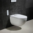 New design Vitreous China Intelligent Toilet