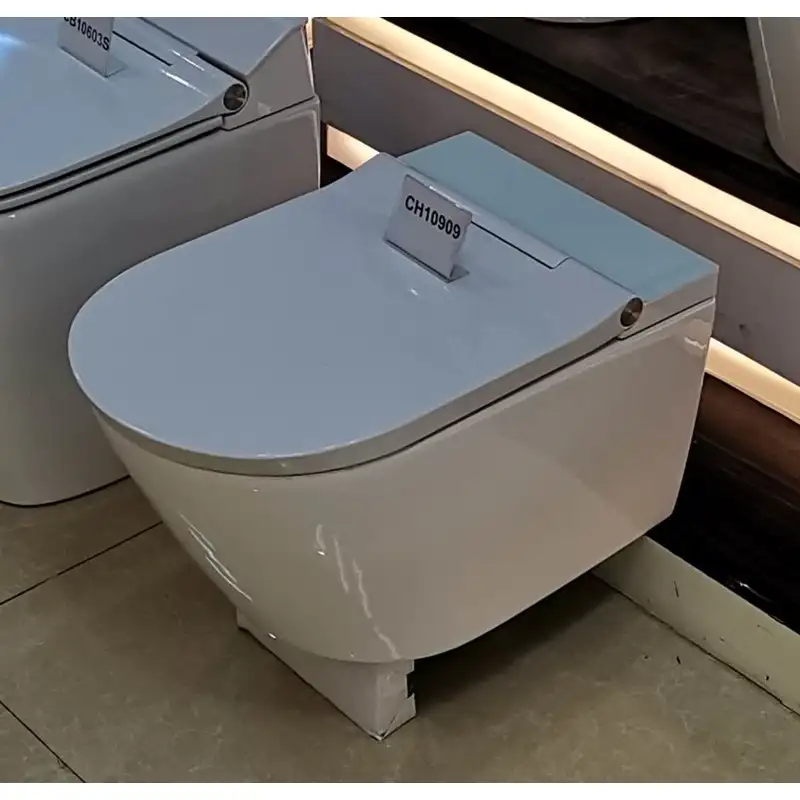 European Integrated Smart Toilet