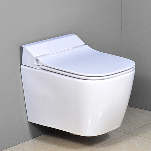 Luxury Rimless Round Wall Hung WC Pan