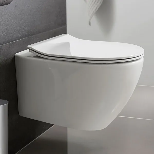 European Standard Luxury Sanitary Ceramic Wall Hung Toilet 