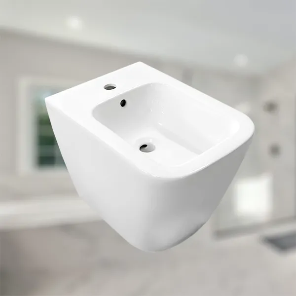 Bidet Toilet Ceramic Bareware in Glossy White Color