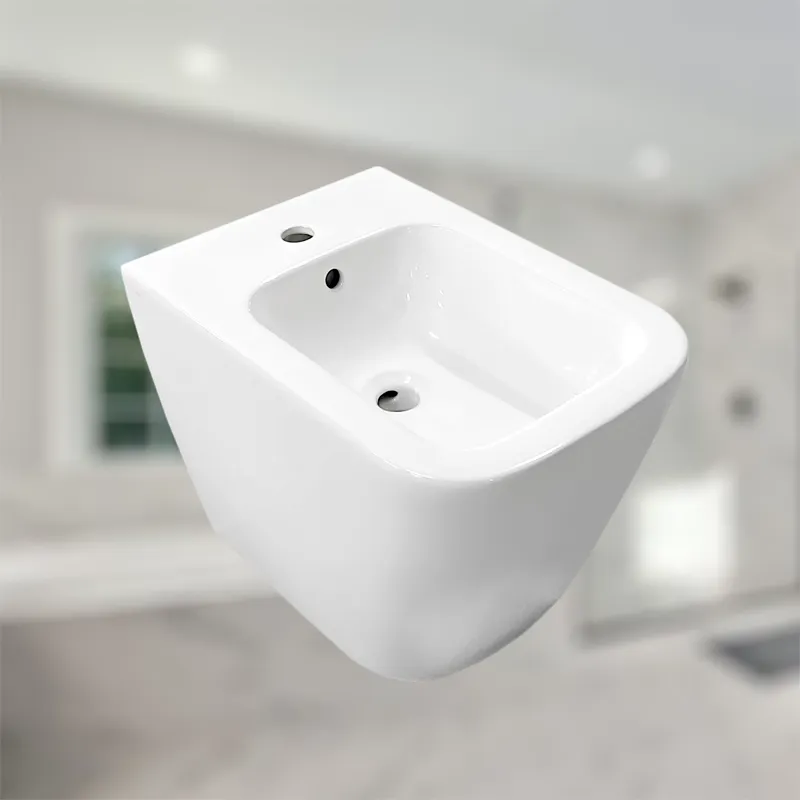Bidet Toilet Ceramic Bareware in Glossy White Color
