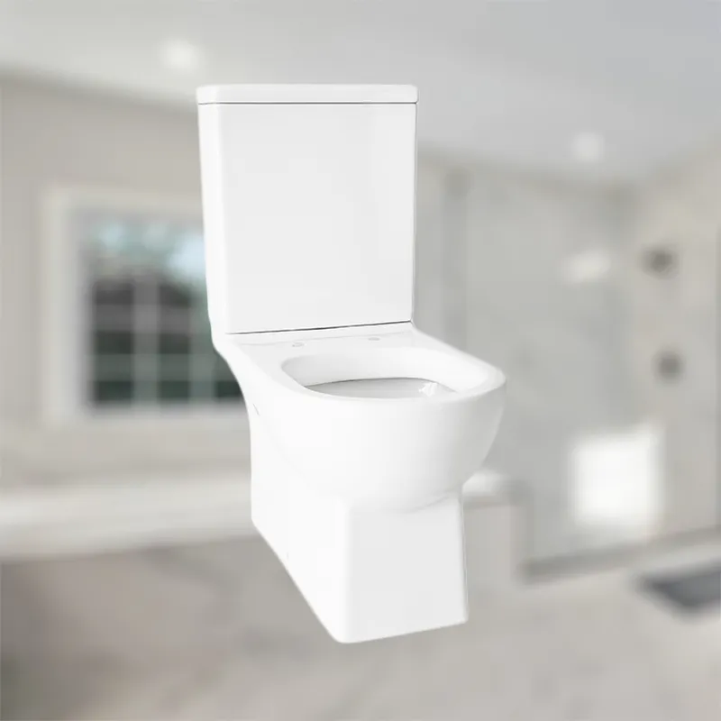 Europe Ceramic Bathroom Wc Toilet